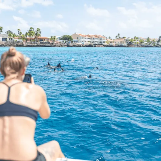 Bonaire vanaf het water